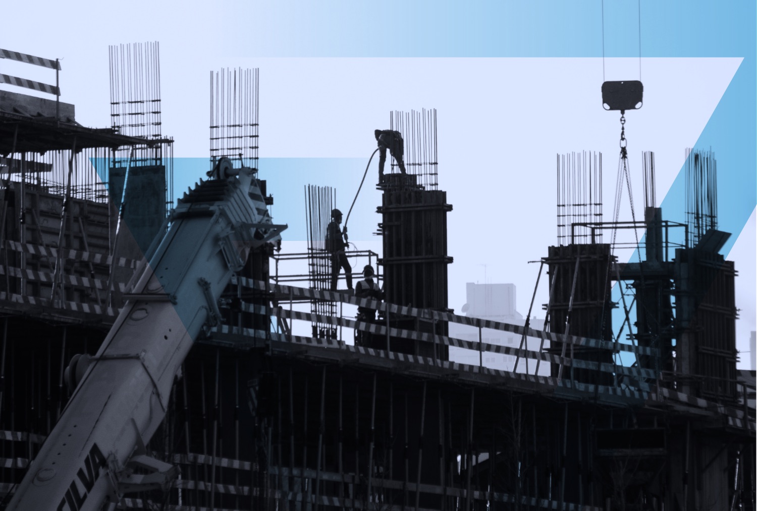 VIC Header Image