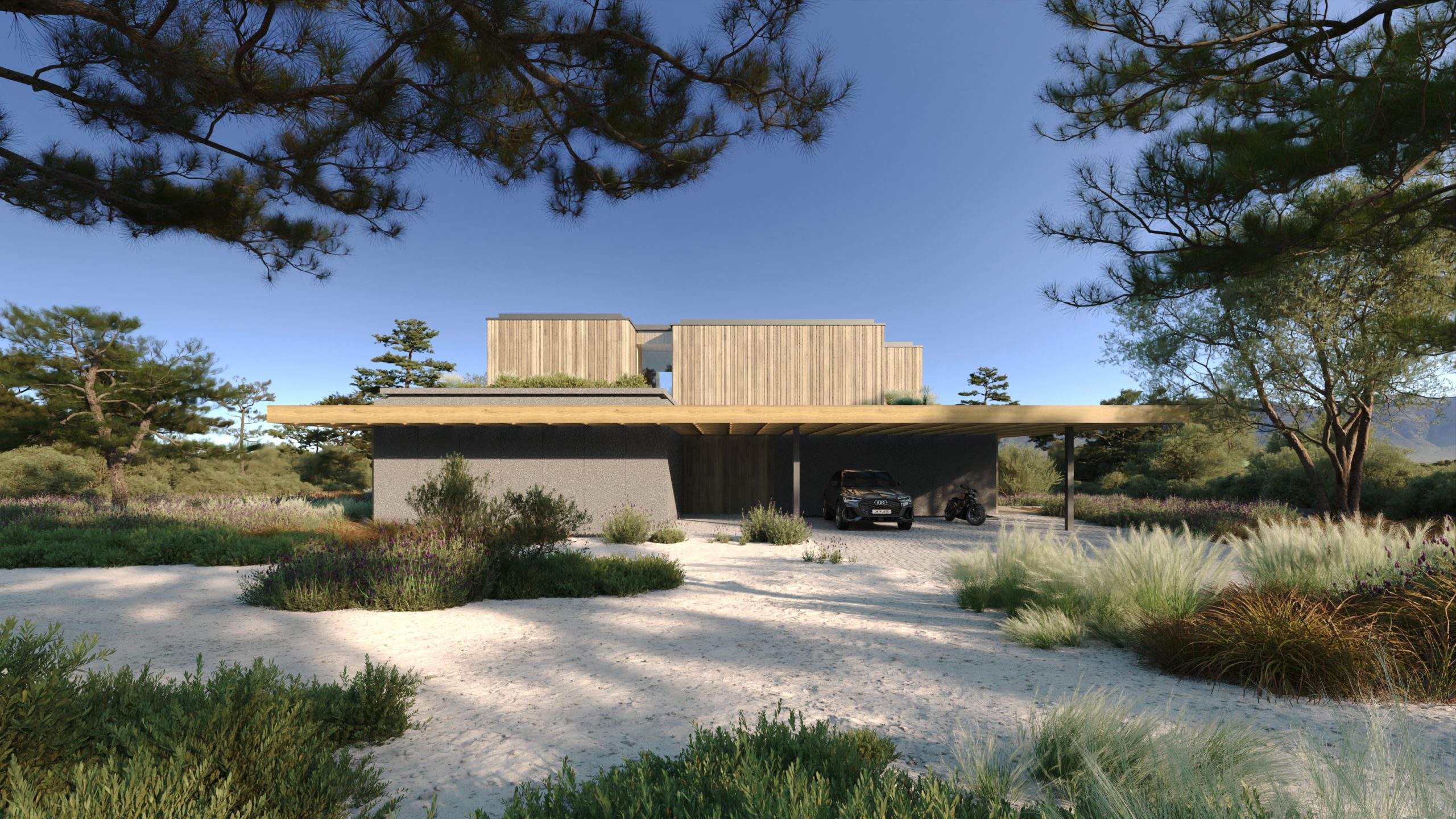 VIC Press Release Image